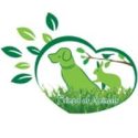 Friend of Animals
